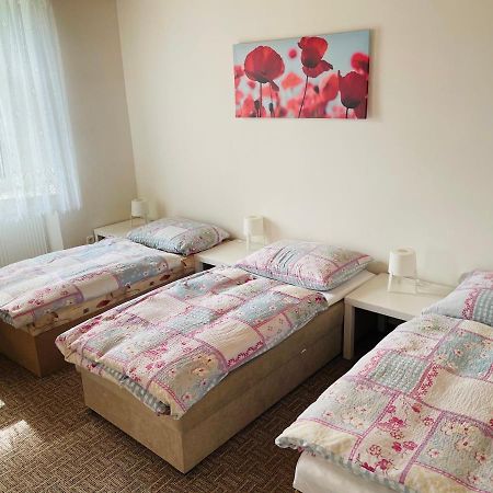 Ubytovani U Lva Zirovnice Luaran gambar